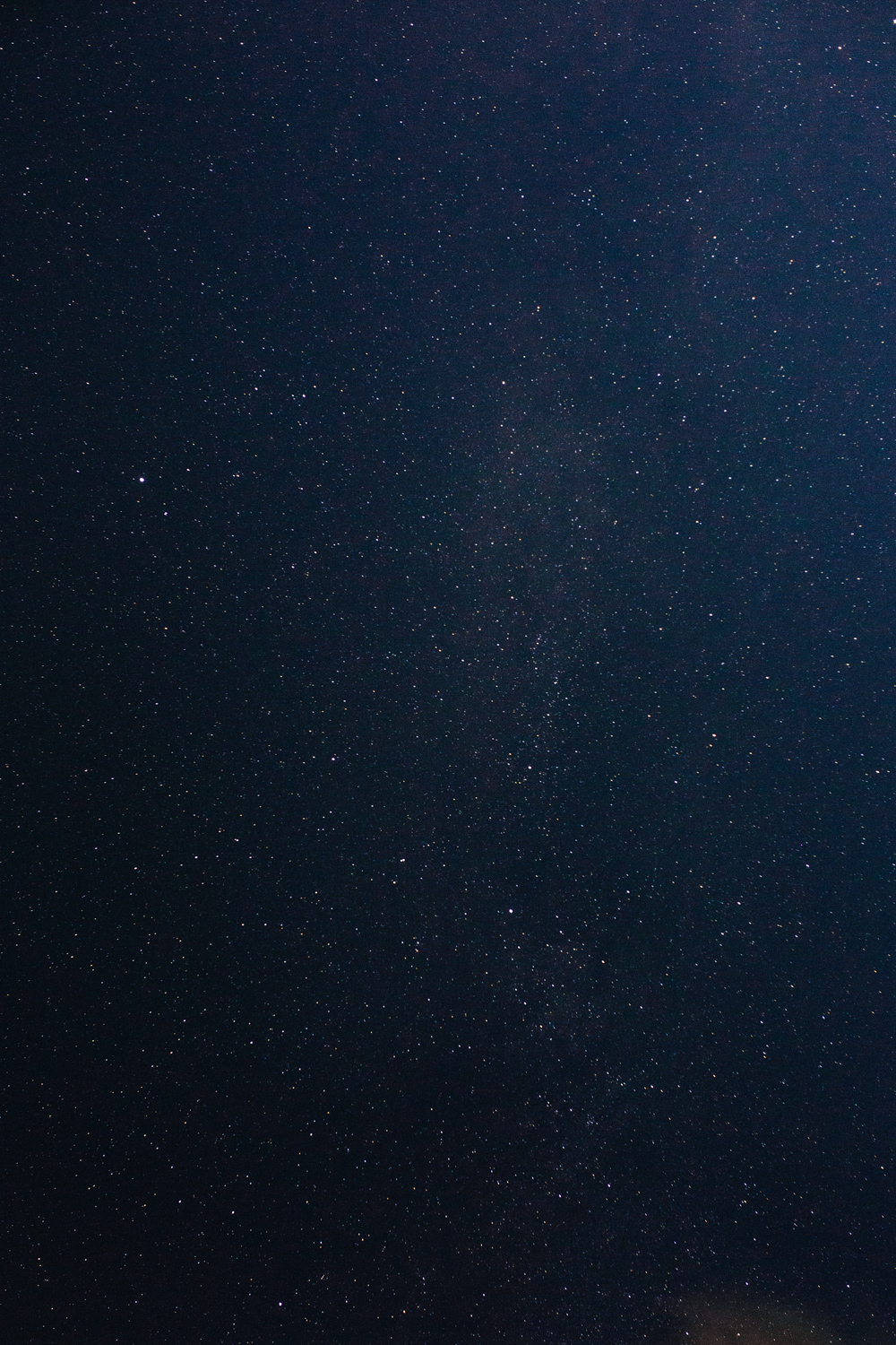 HECK YEAH (88 of 88)