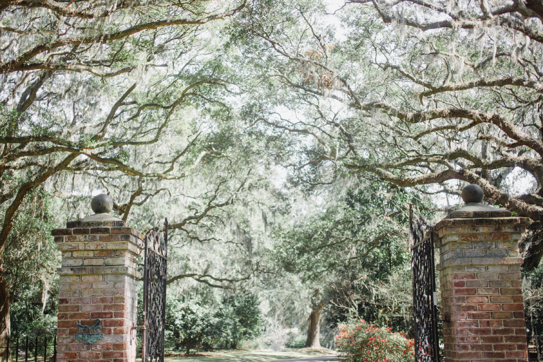 Legare Waring House Wedding_0001