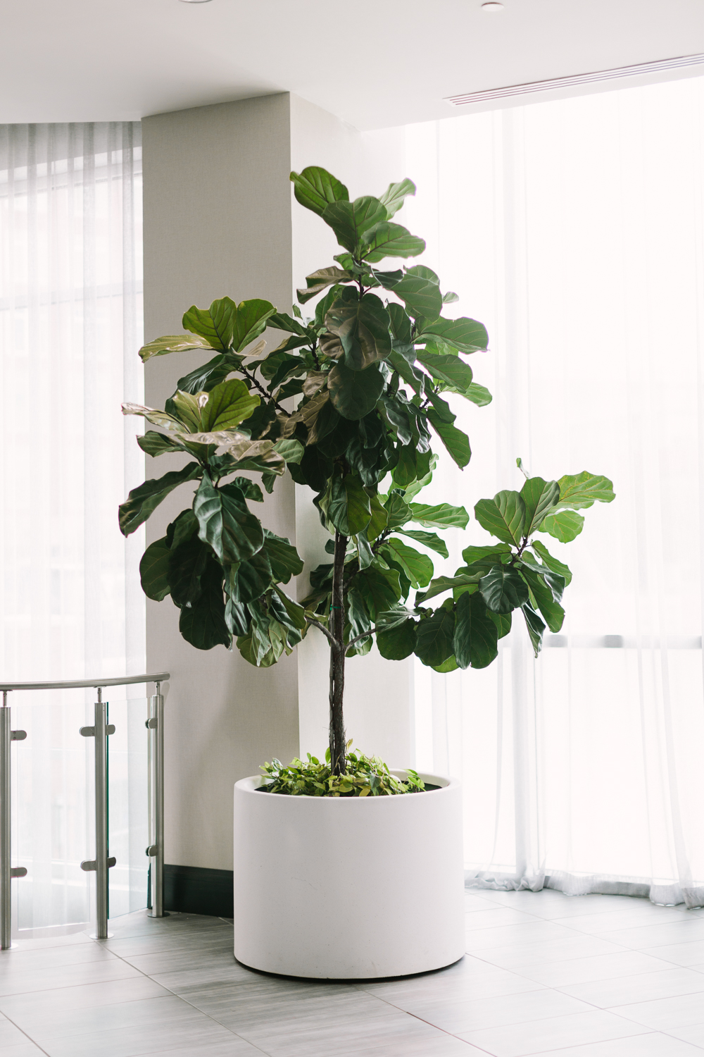 Larkins Wedding (1 of 103)