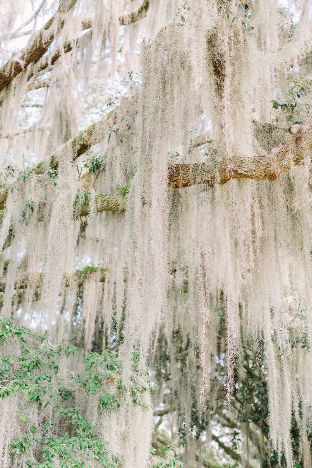 Legare Waring House Wedding (2 of 94)